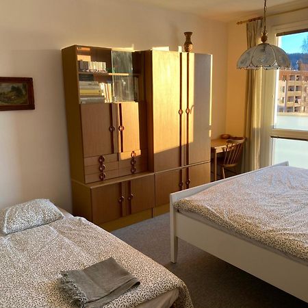 Apartman Pod Studenou Horou Rokytnice nad Jizerou Zewnętrze zdjęcie